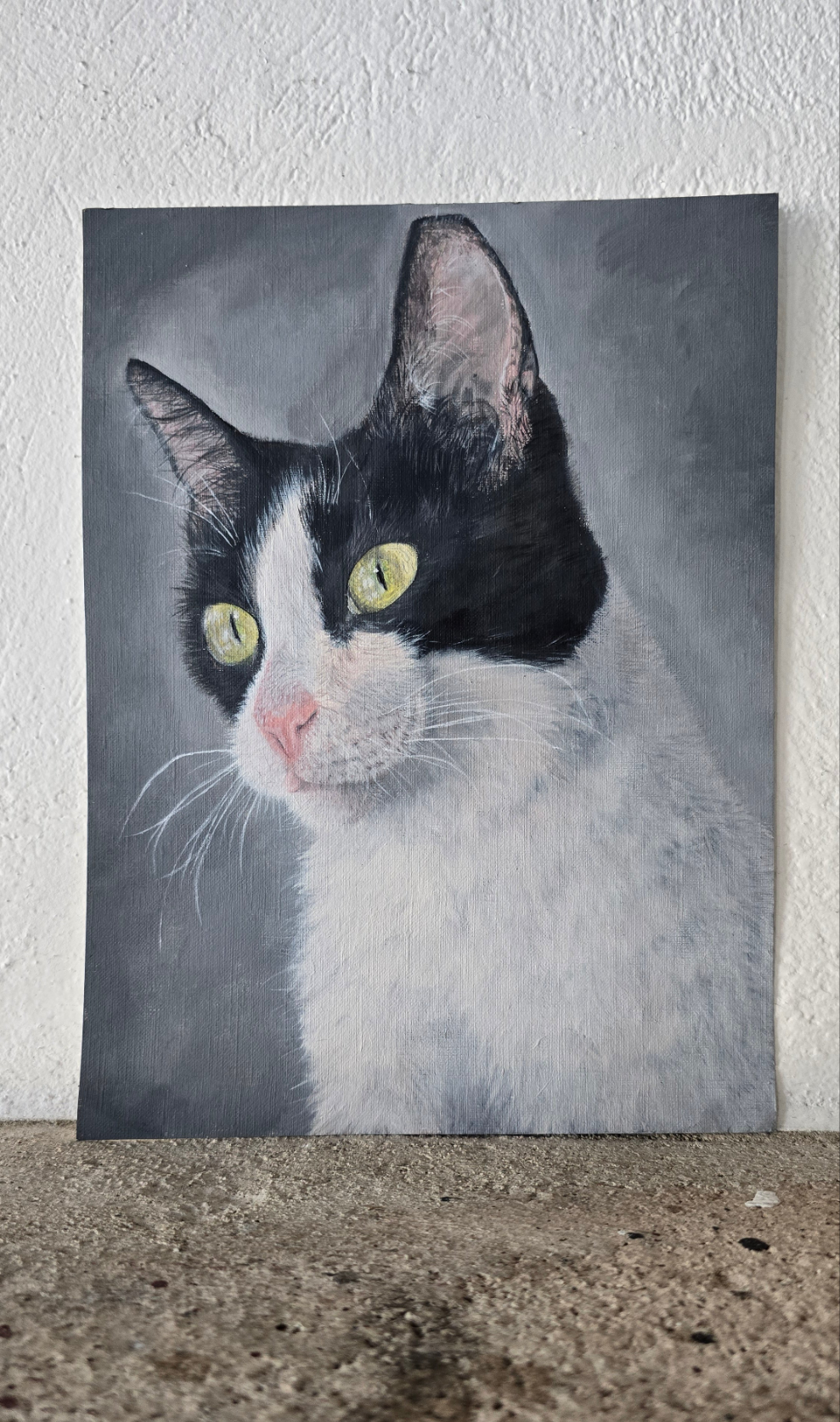 Retrato de mascota (25 x 30 cm)