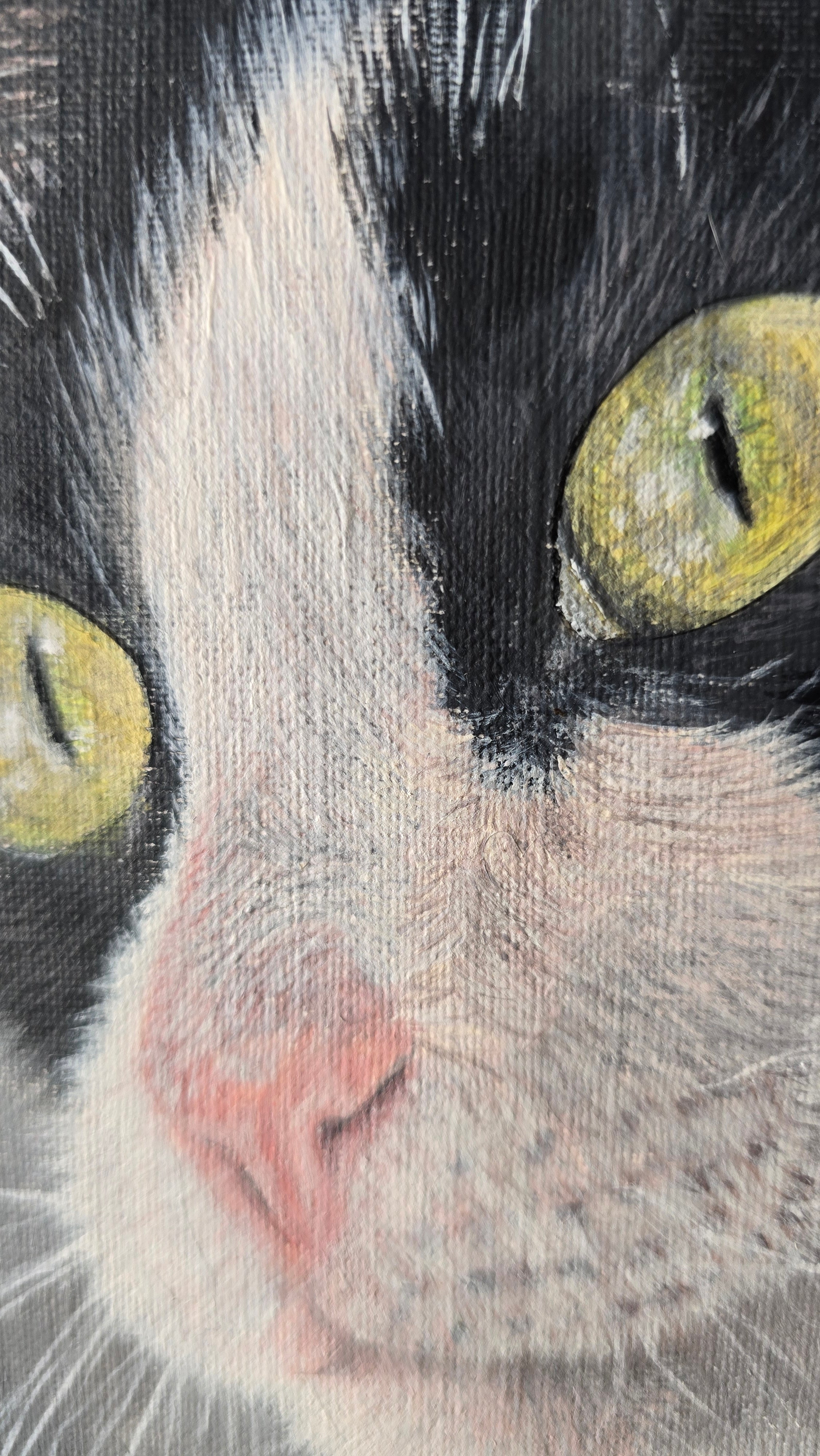 Retrato de mascota (25 x 30 cm)