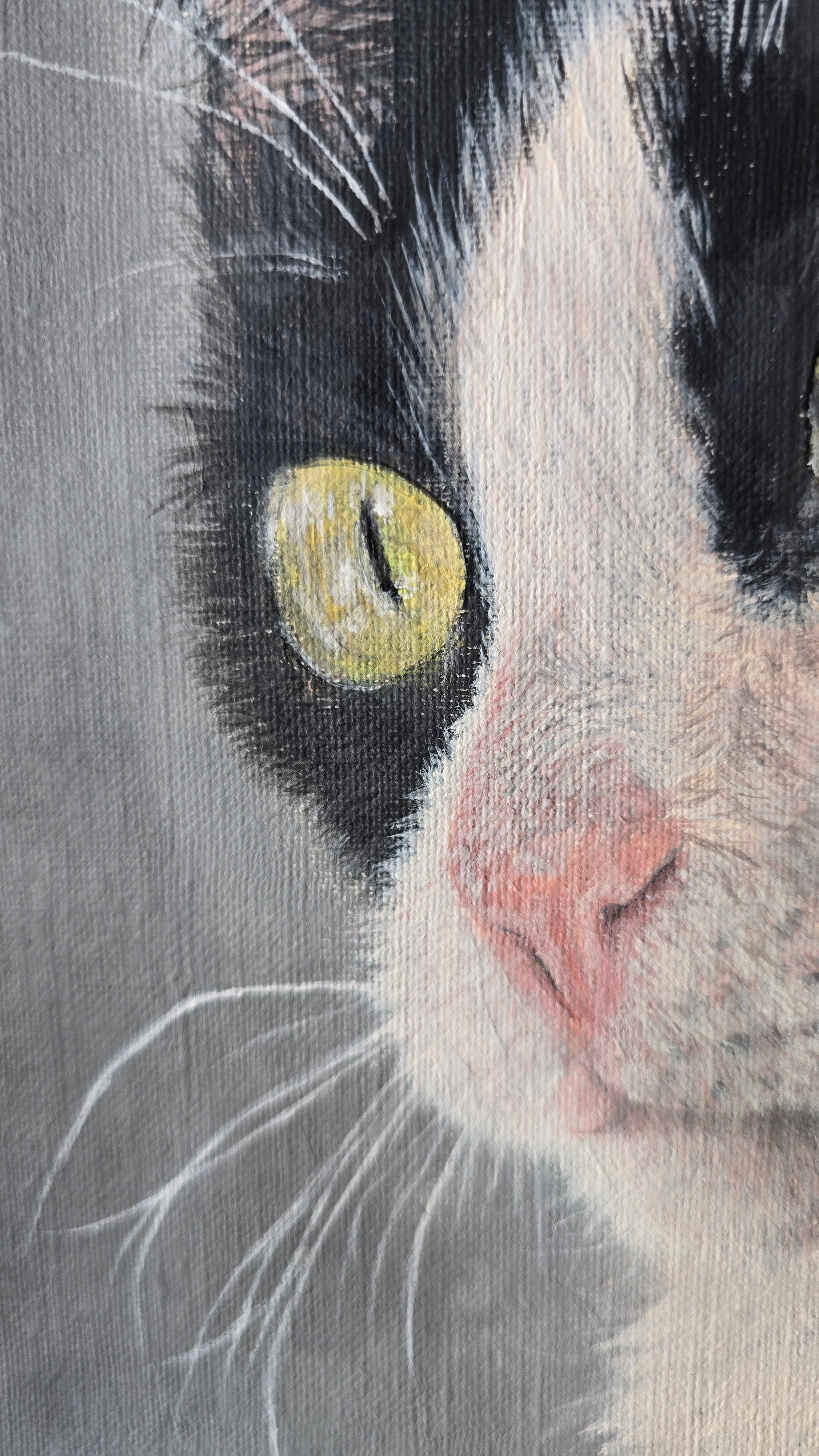 Retrato de mascota (25 x 30 cm)