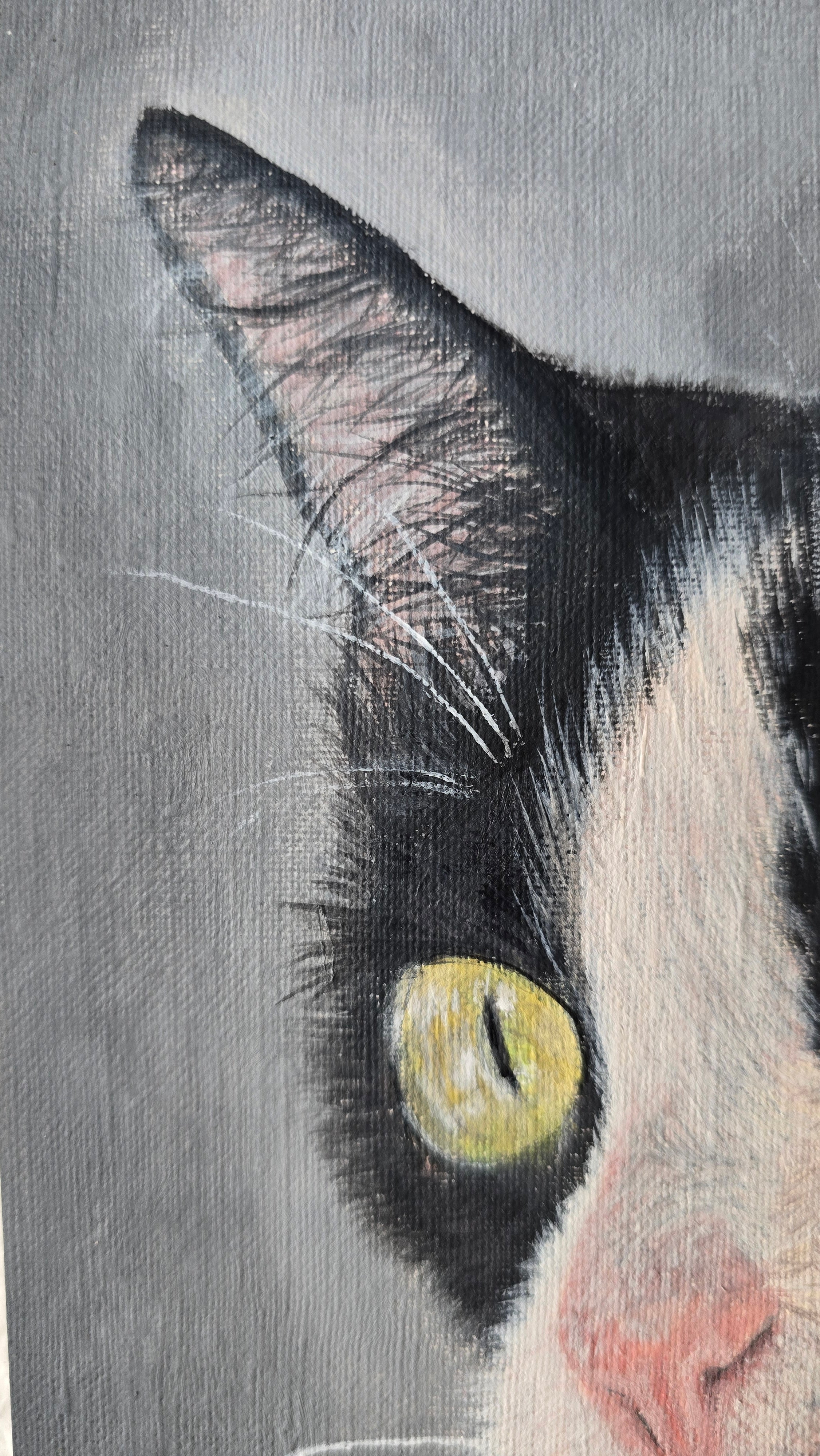 Retrato de mascota (25 x 30 cm)