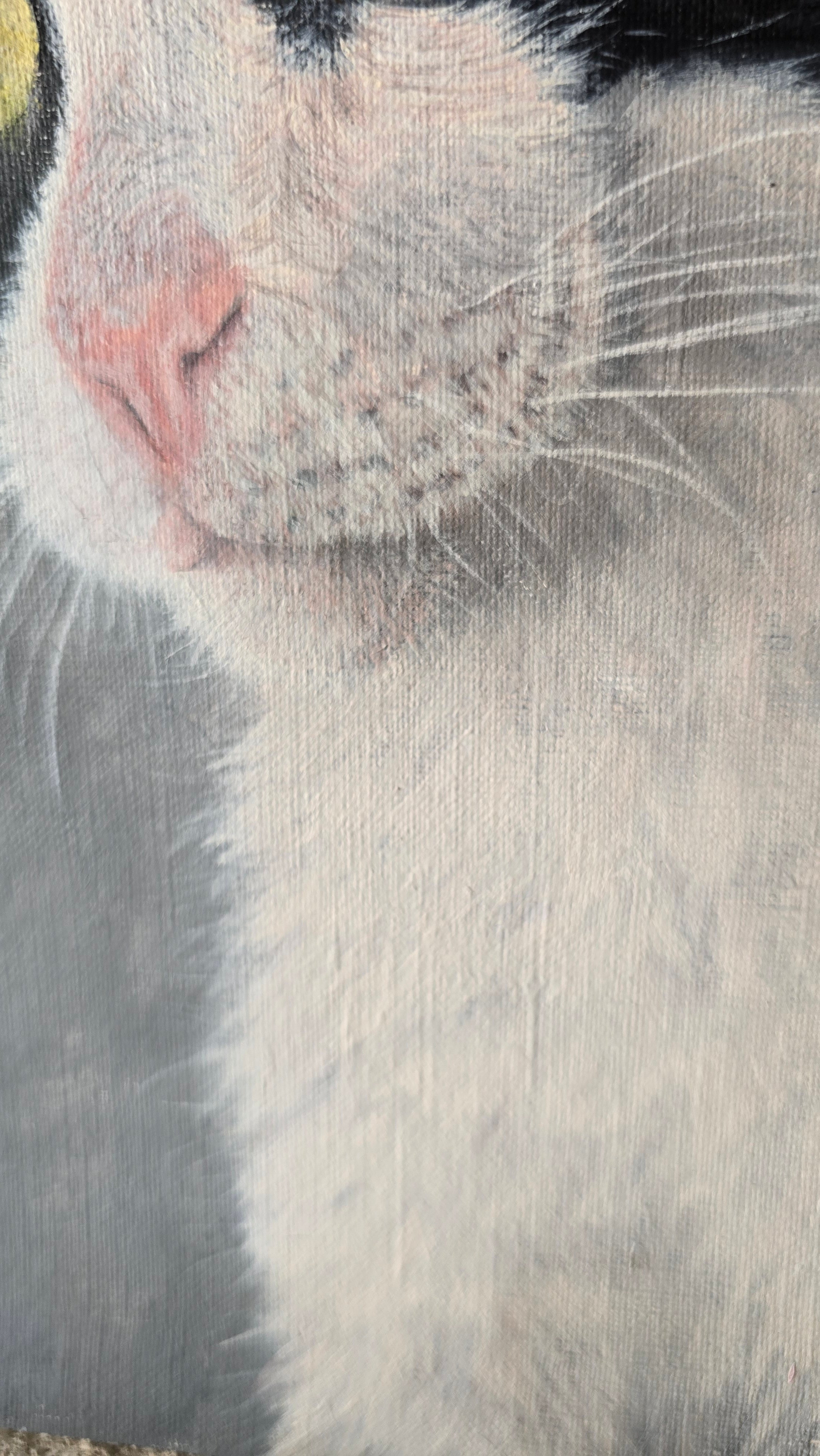 Retrato de mascota (25 x 30 cm)