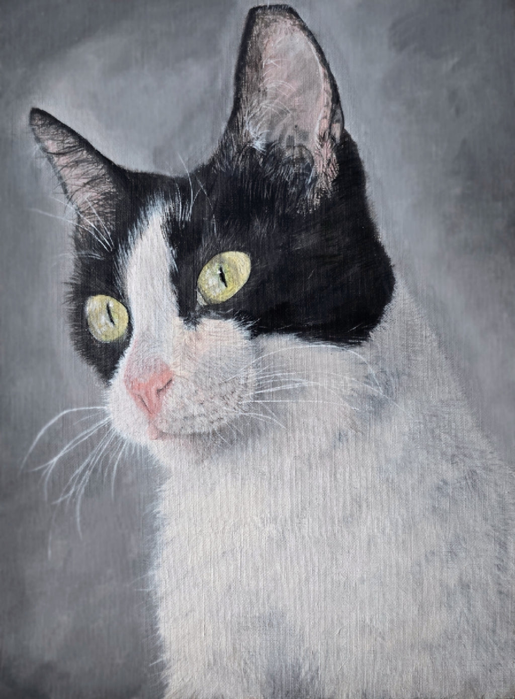Retrato de mascota (25 x 30 cm)