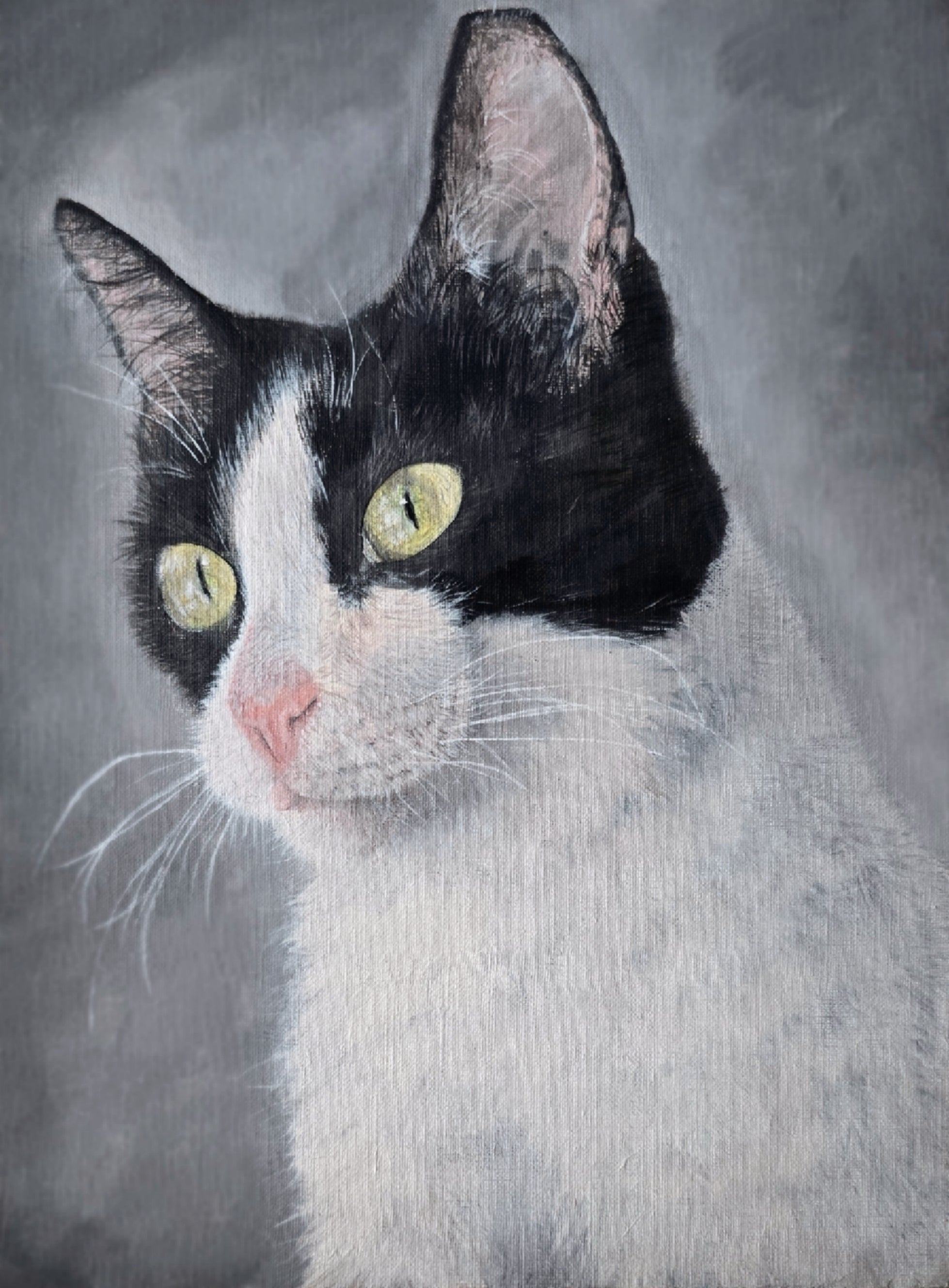 Retrato de mascota (25 x 30 cm)